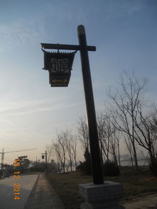 庭院中的指路明灯 路灯与庭院灯的设计与应用